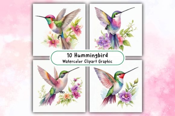 Download Hummingbird Watercolor Clipart - Art Collection