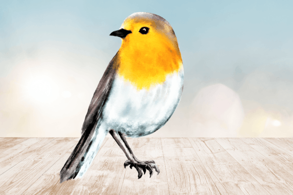 Download Watercolor Robin Bird Clipart Png 3 - Art Collection