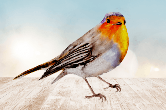 Download Watercolor Robin Bird Clipart Png 2 - Art Collection