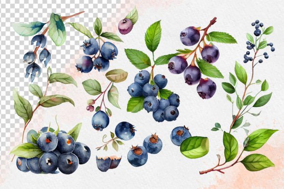 Download Watercolor Blueberries Cliparts - Art Collection