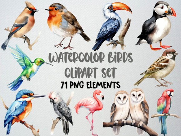 Download Watercolor Birds Clipart, Tropical Bird - Art Collection