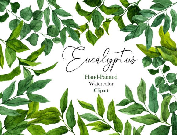 Download Eucalyptus Watercolor Floral Clipart Set - Art Collection