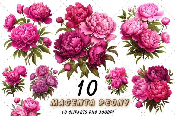 Download Magenta Peony Floral Sublimation Clipart - Art Collection