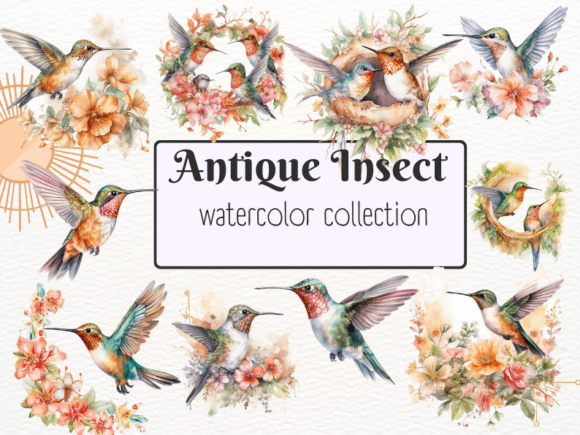 Download Watercolor Cute Hummingbird Clipart - Art Collection