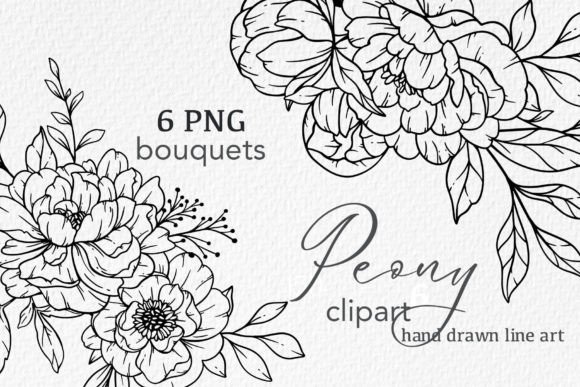 Download Floral Line Art, PEONY Line Drawing - Art Collection