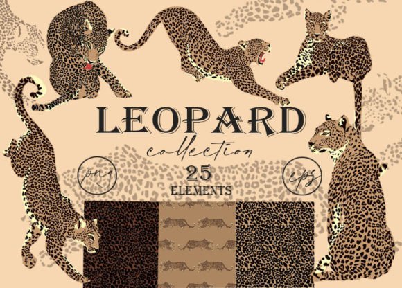 Download Leopard Clipart. Tropic Print. Patterns - Art Collection