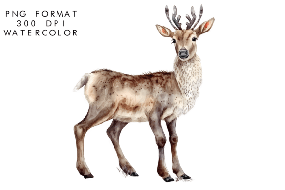 Download Watercolor Reindeer Clipart - Art Collection