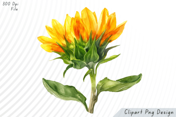Download Watercolor Sunflower Clipart - Art Collection