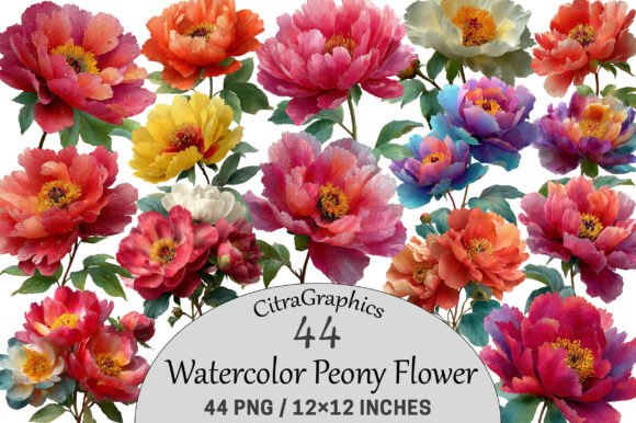 Download Watercolor Peony Flower Clipart. - Art Collection