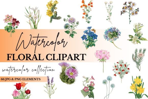 Download Watercolor Floral Clipart Bundle - Art Collection