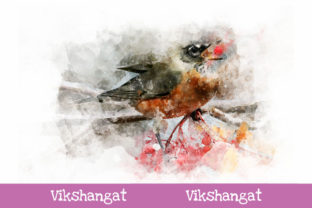 Download American Robin Watercolor Art - Art Collection