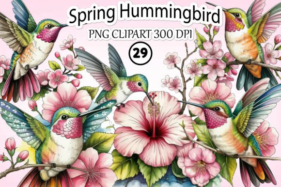 Download Spring Hummingbird Clipart Bundle - Art Collection