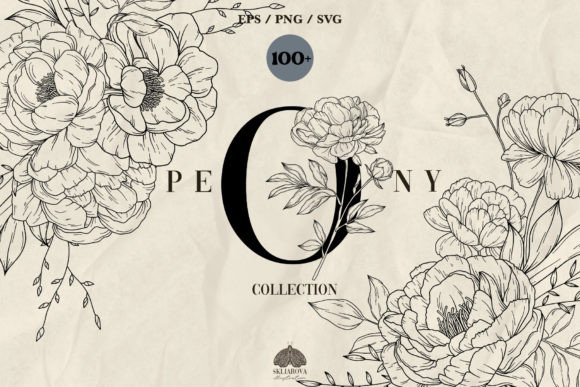 Download Peony Line Art Collection - Art Collection