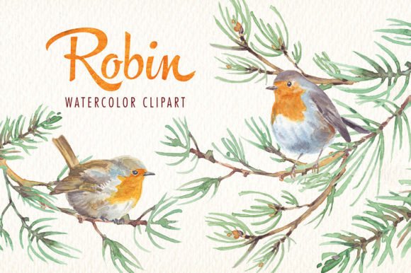 Download Robin Bird Watercolor Clipart - Art Collection