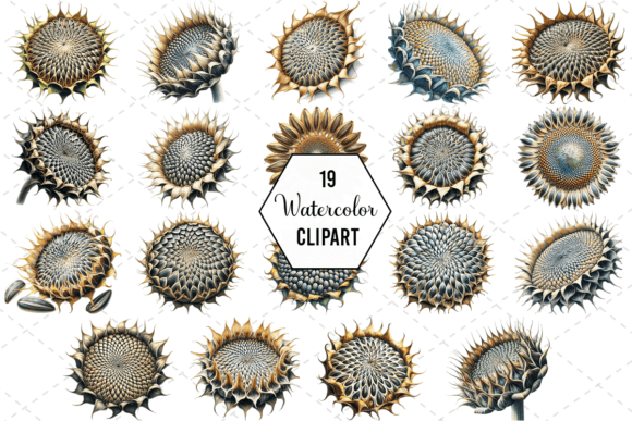 Download Sunflower Bliss Art Watercolor Bundle - Art Collection