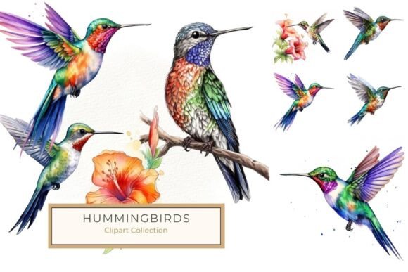 Download Vibrant Watercolor Hummingbird Clipart - Art Collection