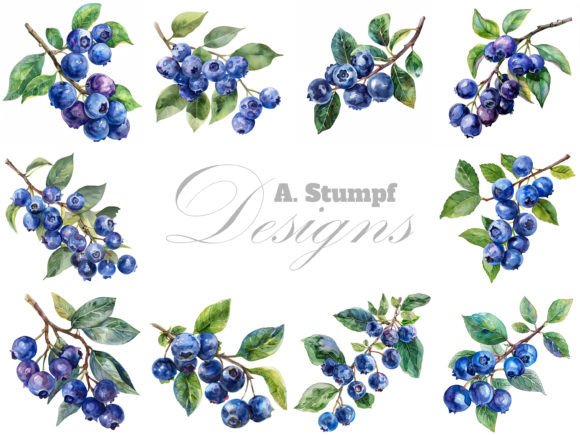 Download Blueberry Watercolor Fruits Clipart Set - Art Collection