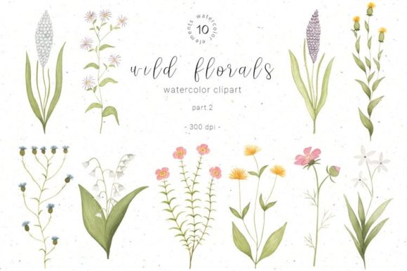 Download Watercolor Wildflower Botanical Clipart - Art Collection