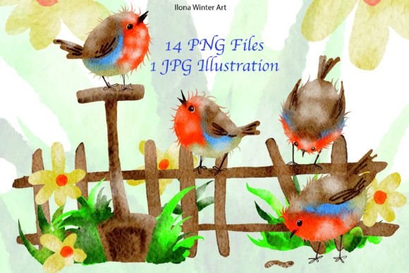 Download Watercolor Robin Birds Clipart Set - Art Collection