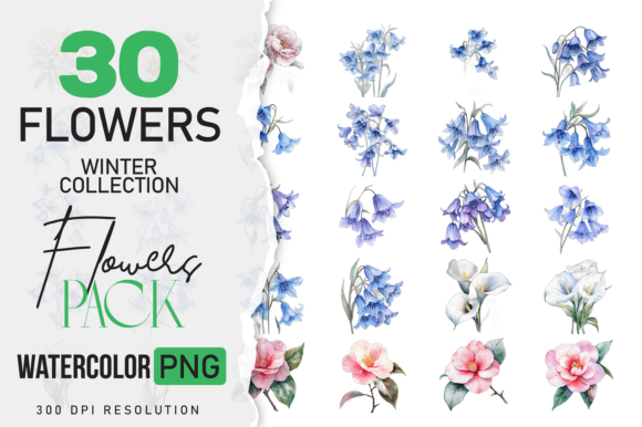 Download Wild Floral Clipart Watercolor Flowers - Art Collection