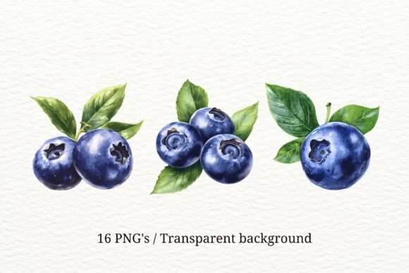 Download 16 Blueberry PNG Clipart Set - Art Collection