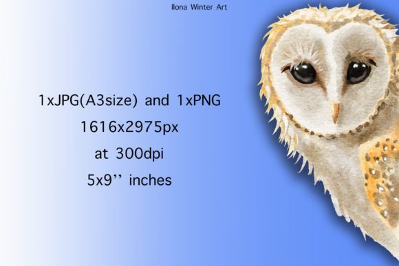 Download Watercolor Barn Owl Clip Art - Art Collection