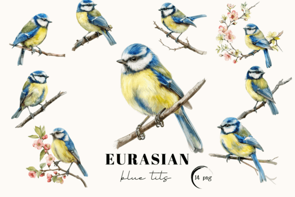 Download Blue Tit Bird Clipart, Eurasian Blue Tit - Art Collection