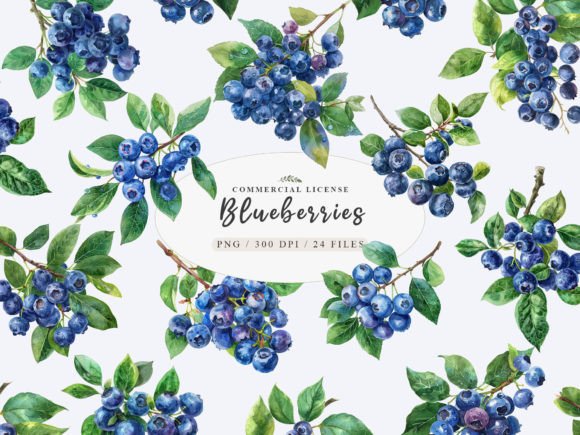Download Berries Clip Art, Blueberry Branch Png - Art Collection