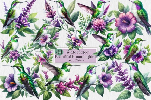 Download Beautiful Hummingbird Watercolor Clipart - Art Collection
