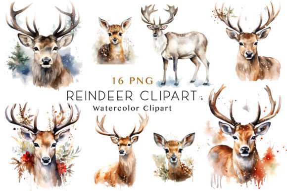 Download Watercolor Reindeer Clipart Bundle - Art Collection