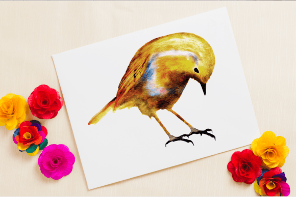 Download Watercolor Robin Bird Clipart Png - Art Collection